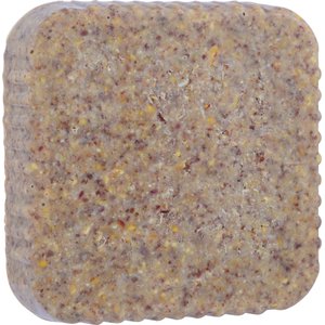 Pine Tree Farms Never Melt Suet Peanut Cake Bird Food, 12-oz tray, 12 count