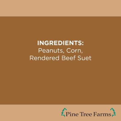 Show full view: Pine Tree Farms Never Melt Suet Peanut Cake Bird Food, 12-oz tray, 12 count slide 6 of 10