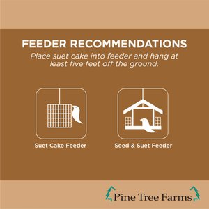 Pine Tree Farms Never Melt Suet Peanut Cake Bird Food, 12-oz tray, 12 count