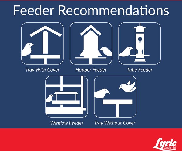 Show full view: Lyric Supreme Wild Bird Food, 40-lb bag slide 8 of 11