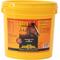Show in main carousel: Finish Line Ultra Fire Multivitamin Apple Flavor Powder Horse Supplement, 150-oz tub slide 1 of 4
