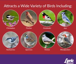 Lyric Delite High Protein No Waste Mix Wild Bird Food, 20-lb bag slide 2 of 9