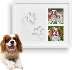 Vila Personalized Dog & Cat Paw Print Clay Imprint Kit with Wooden Picture Frame