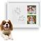 Show in main carousel: Vila Personalized Dog & Cat Paw Print Clay Imprint Kit with Wooden Picture Frame slide 1 of 7