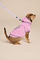 LIFE IS GOOD Beach Icons Dog Leash, 6-ft long, 1-in wide, Lilac Purple slide 2 of 4