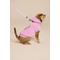 Show in main carousel: LIFE IS GOOD Beach Icons Dog Leash, 6-ft long, 1-in wide, Lilac Purple slide 3 of 4