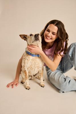 Show full view: LIFE IS GOOD Beach Day Dog Collar, Cornflower Blue, Small: 10 to 14-in neck, 5/8-in wide slide 3 of 3