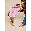 Show in main carousel: LIFE IS GOOD Have a Nice Daisy Sunset Dog Hoodie, Violet Purple, Small slide 3 of 4