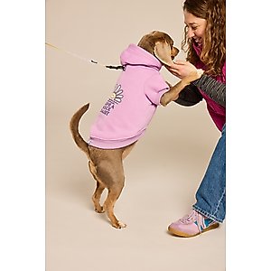 LIFE IS GOOD Have a Nice Daisy Sunset Dog Hoodie, Violet Purple, Medium