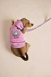 LIFE IS GOOD Have a Nice Daisy Sunset Dog Hoodie, Violet Purple, Small slide 2 of 3