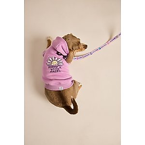 LIFE IS GOOD Have a Nice Daisy Sunset Dog Hoodie, Violet Purple, Medium