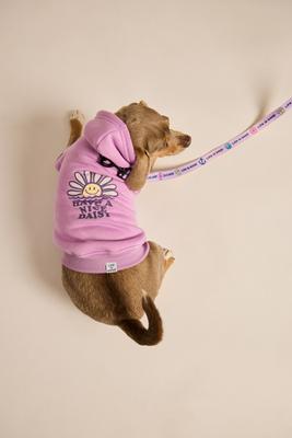 Show full view: LIFE IS GOOD Have a Nice Daisy Sunset Dog Hoodie, Violet Purple, Large slide 3 of 5