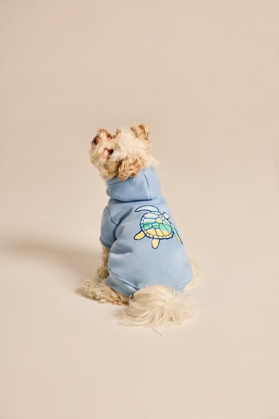 Show full view: LIFE IS GOOD Sea Turtle Dog Hoodie, Cool Blue, Medium slide 4 of 6
