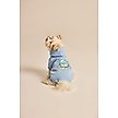 Show in main carousel: LIFE IS GOOD Sea Turtle Dog Hoodie, Cool Blue, Medium slide 4 of 6