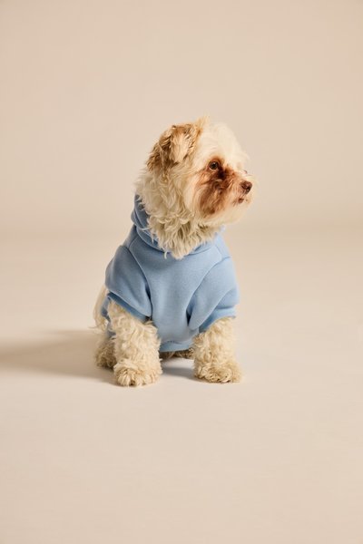Show full view: LIFE IS GOOD Sea Turtle Dog Hoodie, Cool Blue, Medium slide 3 of 6
