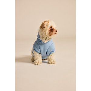LIFE IS GOOD Sea Turtle Dog Hoodie, Cool Blue, Large