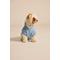Show in main carousel: LIFE IS GOOD Sea Turtle Dog Hoodie, Cool Blue, Large slide 4 of 7