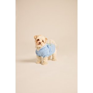 LIFE IS GOOD Sea Turtle Dog Hoodie, Cool Blue, Large