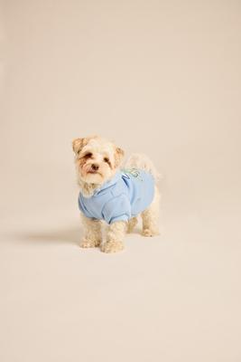 Show full view: LIFE IS GOOD Sea Turtle Dog Hoodie, Cool Blue, Large slide 6 of 7