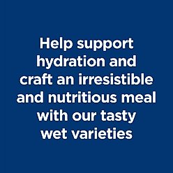 Hill's Science Diet Kitten Sensitive Stomach & Sensitive Skin Salmon & Vegetables Stew Wet Cat Food, 2.8-oz pouch, case of 24 slide 2 of 8