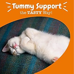 Zesty Paws Probiotic Chicken Flavored Digestion Bites Supplement for Cats, 60 count slide 2 of 5