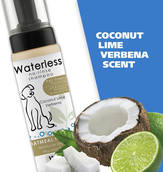 Show full view: Wahl Waterless No-Rinse Oatmeal Dog Shampoo, 7.10-fl oz bottle slide 5 of 10