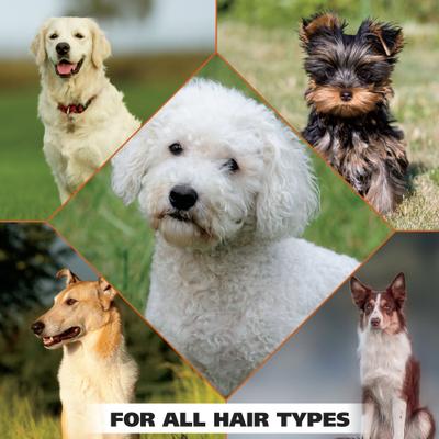 Show full view: Wahl Refresh Coconut Lime Verbena Massive Dog Grooming Wipes, 36 count slide 8 of 9