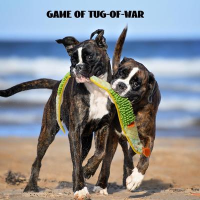 Show full view: Nocciola Ribbon Eel Snuffle Squeaky Stuffing-Free Plush Dog Toy, Yellow/Green slide 6 of 8