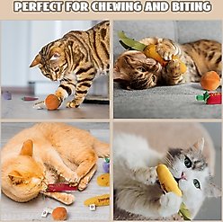 Nocciola 5 Pack Foodie Catnip Filling Cat Toy Set, Multi slide 2 of 7