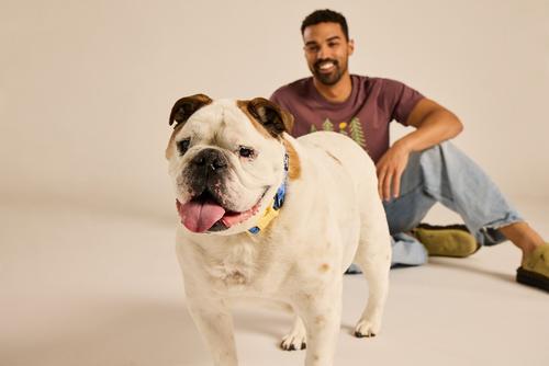 Show full view: LIFE IS GOOD Vintage Dogs Dog Collar, Cornflower Blue, Medium: 12 to 18-in neck, 3/4-in wide slide 2 of 6