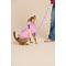 Show in main carousel: LIFE IS GOOD Beach Icons Dog Leash, 6-ft long, 1-in wide, Lilac Purple slide 2 of 4