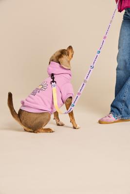 Show full view: LIFE IS GOOD Beach Icons Dog Leash, 6-ft long, 1-in wide, Lilac Purple slide 2 of 4