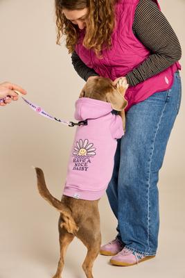 Show full view: LIFE IS GOOD Beach Icons Dog Leash, 6-ft long, 1-in wide, Lilac Purple slide 4 of 4