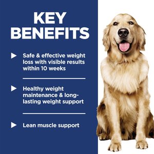 Hill's Science Diet Adult Perfect Weight Management Vegetables & Salmon Stew Wet Dog Food, 2.8-oz pouch, case of 24