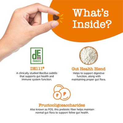 Show full view: Zesty Paws Probiotic Chicken Flavored Digestion Bites Supplement for Cats, 60 count slide 4 of 7