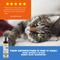 Show in main carousel: Wahl Waterless No-Rinse Cat Shampoo, 7.10-fl oz bottle slide 8 of 10