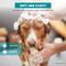 Show in main carousel: Wahl Extra Gentle Hypoallergenic Dog Shampoo, 24-fl oz bottle slide 8 of 10