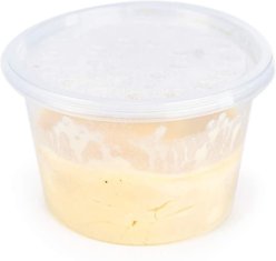 Josh's Frogs Microworm Panagrellus Culture, 16-oz