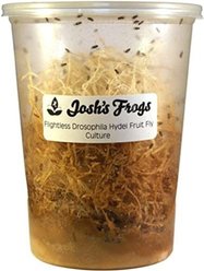 Josh's Frogs Producing Flightless Drosophila Hydei Fruit Fly Culture Live Feed Reptile Food