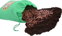 Uncle Jim's Worm Farm Super Red European Night Crawler Reptile & Fish Food, 100 count