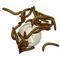 Show in main carousel: ABDragons Live Mealworms Reptile, Bird, Fish & Small Pet Food, Medium, 50 count slide 1 of 6