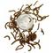 Show in main carousel: ABDragons Live Mealworms Reptile, Bird, Fish & Small Pet Food, Mini, 100 count slide 1 of 6
