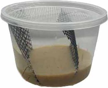 Show full view: ABDragons Hornworm Food, 1-cup slide 1 of 4