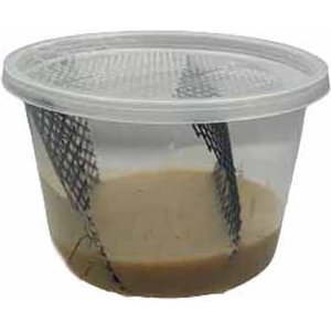 ABDragons Hornworm Food, 1-cup