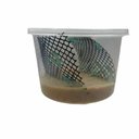 ABDragons Live Hornworms Reptile, Bird, Fish & Small Pet Food, 75 count