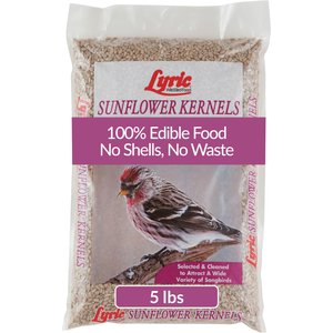 Lyric Sunflower Kernels Wild Bird Food, 5-lb bag
