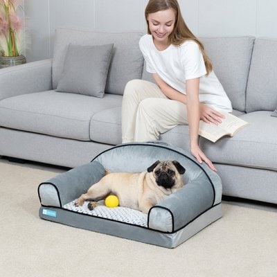 Cozy Tails Cozy Tails Lavender Infused Orthopedic Memory Foam Sofa Couch Dog Bed, Grey, Medium