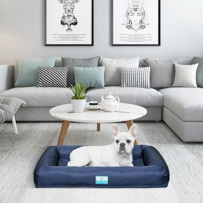 Cozy Tails Cozy Tails Waterproof Orthopedic Memory Foam Nest Dog Bed with Removable Cover, Navy, Small