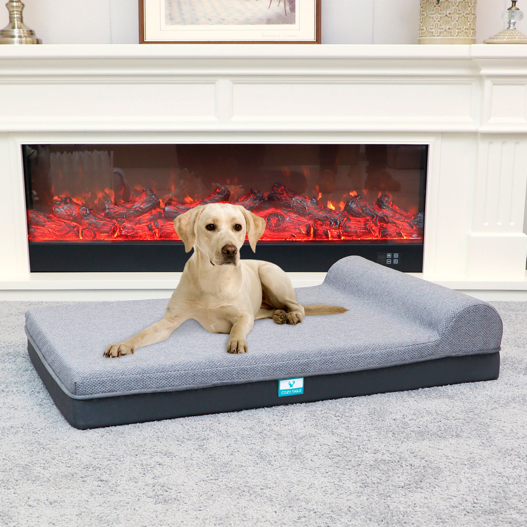 Cozy Tails Single Bolster Orthopedic Memory Foam Dog Bed, Grey, Large