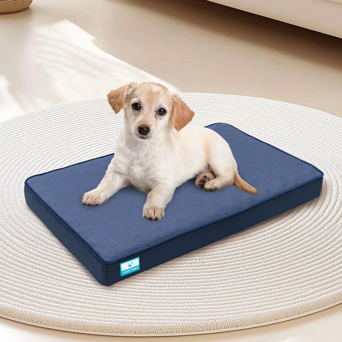 Cozy Tails Bamboo Charcoal Orthopedic Memory Foam Egg Crate Dog Bed, Navy, Medium